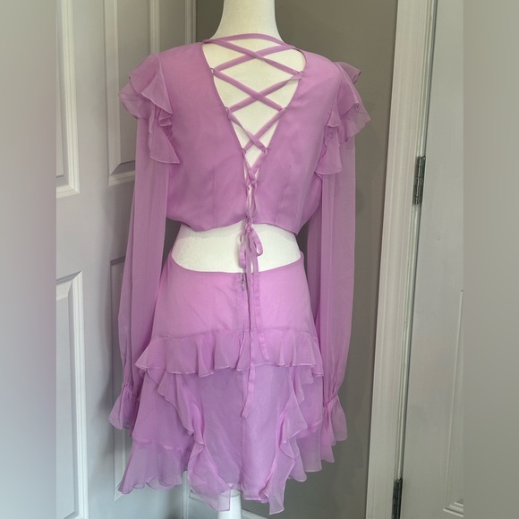 Angelance New York Silk Chiffon Dress - Picture 8 of 14